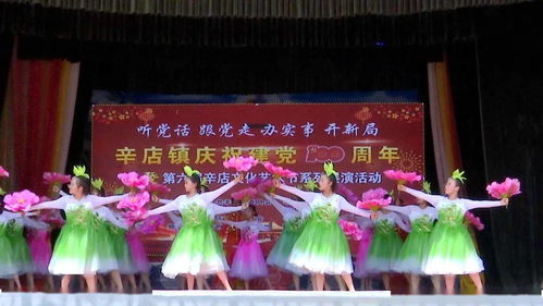 辛店鎮(zhèn)舉行慶祝建黨一百周年暨第六屆文化藝術(shù)節(jié)活動