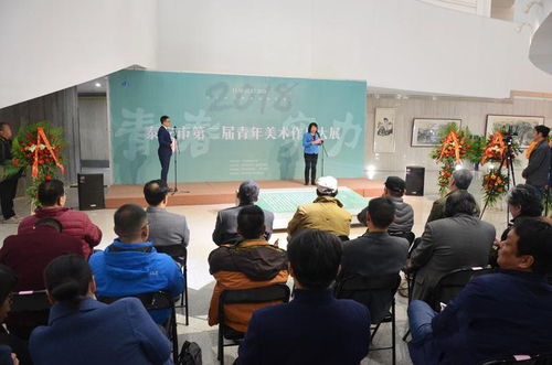 青春實力 泰安市第二屆青年美術(shù)大展隆重啟幕