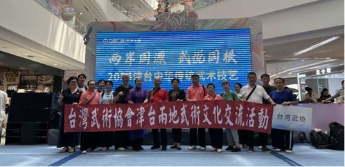 兩岸同源 武悅同根 2024津臺中華傳統(tǒng)武術(shù)技藝交流展演活動在濱海新區(qū)舉行