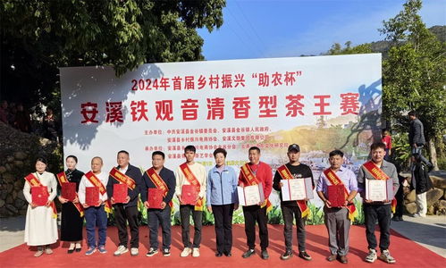 福建安溪 溪岸 大地藝術(shù)的交響 2025藝術(shù)嘉年華精彩紛呈