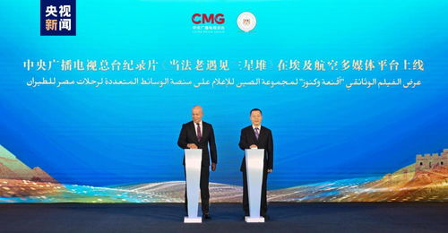 中國(guó)新時(shí)代深化改革的世界機(jī)遇 對(duì)話會(huì)暨中?；锇槟耆宋慕涣骰顒?dòng)在開(kāi)羅舉辦