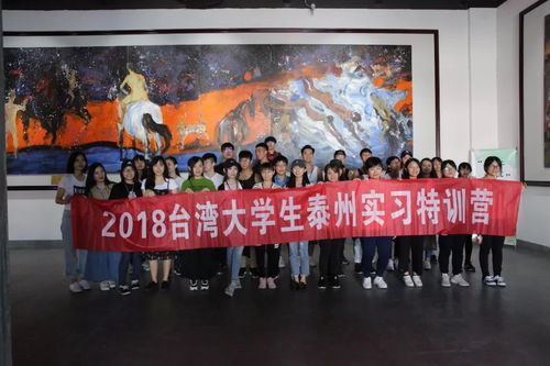 臺灣大學(xué)生泰州行走進多勝文化藝術(shù)生活廣場 兩岸文化交流其樂融融