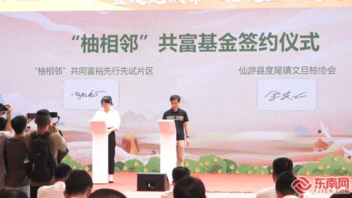 2024年莆田仙游縣農(nóng)民豐收節(jié)暨度尾鎮(zhèn)第八屆文旦柚文化旅游活動(dòng)開(kāi)幕